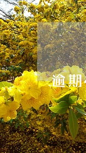 逾期4天上征信怎么解决 逾期4天上征信怎么解决