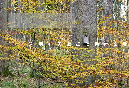 逾期4天上征信是什么后果 逾期4天上征信是什么后果