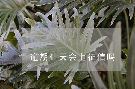 逾期4天会上征信吗 逾期4天会上征信吗