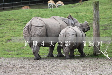 逾期4天会影响临额吗 逾期4天会影响临额吗