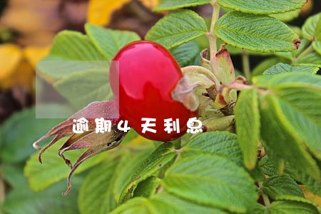 逾期4天利息 逾期4天利息