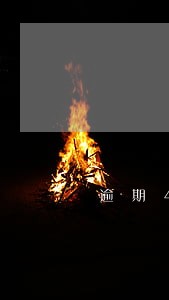 逾期4天利息收55元正常吗 逾期4天利息收55元正常吗