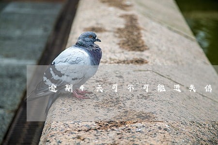 逾期4天可不可能进失信人名单 逾期4天可不可能进失信人名单