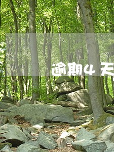 逾期4天可以上门申报吗 逾期4天可以上门申报吗