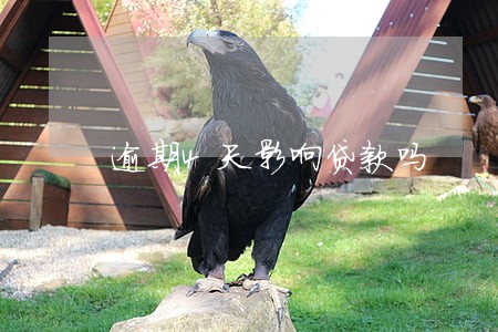 逾期4天影响贷款吗 逾期4天影响贷款吗