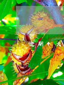 逾期4天征信上显示什么 逾期4天征信上显示什么