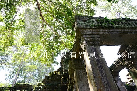 逾期4天有罚息会上征信嘛 逾期4天有罚息会上征信嘛