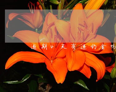 逾期4天有违约金吗 逾期4天有违约金吗