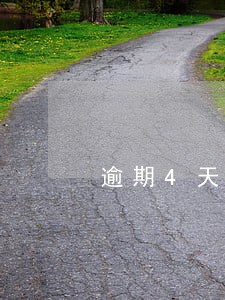 逾期4天能取消利息吗