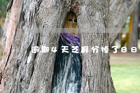逾期4天芝麻分掉了88分 逾期4天芝麻分掉了88分