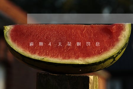 逾期4天花呗罚息 逾期4天花呗罚息