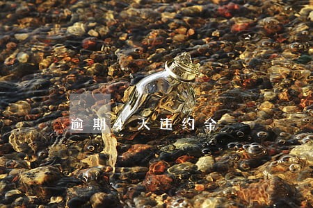 逾期4天违约金 逾期4天违约金