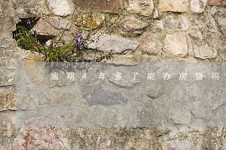 逾期4年多了能办房贷吗