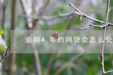逾期4年的网贷会怎么处理 逾期4年的网贷会怎么处理