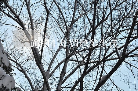 逾期4年罚息多少钱 逾期4年罚息多少钱