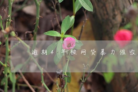 逾期4年被网贷暴力催收