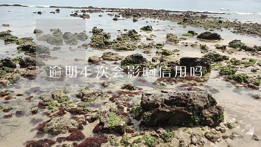 逾期4次会影响信用吗 逾期4次会影响信用吗