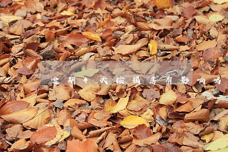 逾期4次按揭房有影响吗 逾期4次按揭房有影响吗