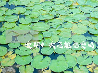 逾期4次还能信贷吗 逾期4次还能信贷吗