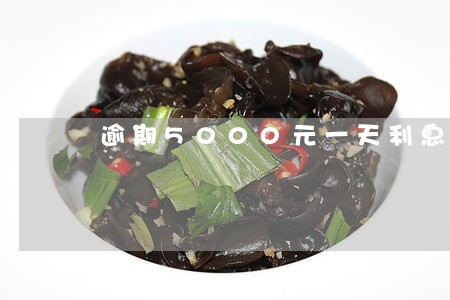 逾期5000元一天利息 逾期5000元一天利息