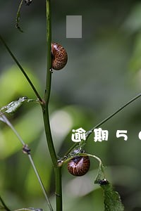 逾期5000元会上征信吗 逾期5000元会上征信吗
