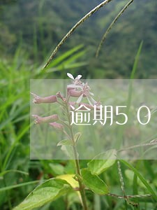 逾期5000征信黑名单