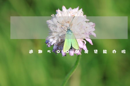 逾期5000房贷能办吗 逾期5000房贷能办吗