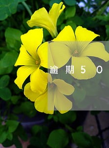 逾期5000的利息国家规定 逾期5000的利息国家规定