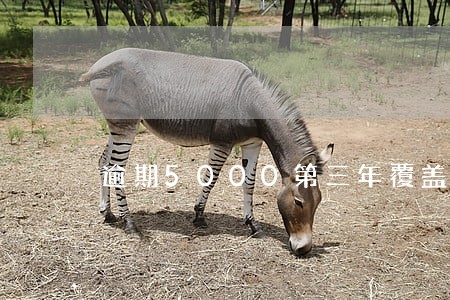 逾期5000第三年覆盖了吗 逾期5000第三年覆盖了吗