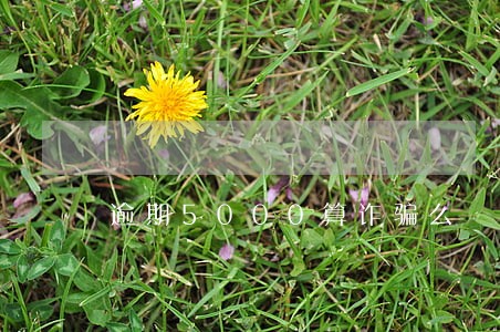 逾期5000算诈骗么 逾期5000算诈骗么