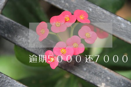 逾期5000还7000 逾期5000还7000