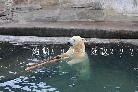 逾期5000还款2000 逾期5000还款2000