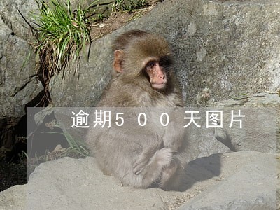 逾期500天图片 逾期500天图片
