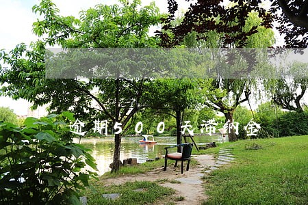 逾期500天滞纳金 逾期500天滞纳金