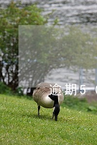 逾期500还能办信用卡吗 逾期500还能办信用卡吗