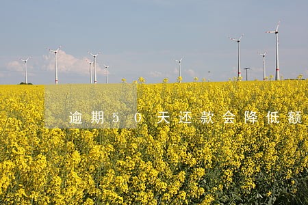 逾期50天还款会降低额度吗 逾期50天还款会降低额度吗
