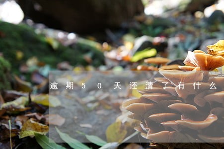 逾期50天还清了有什么关系啊 逾期50天还清了有什么关系啊