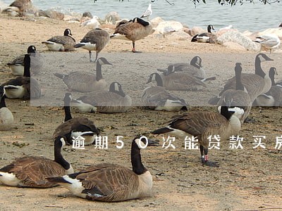 逾期50次能贷款买房吗 逾期50次能贷款买房吗