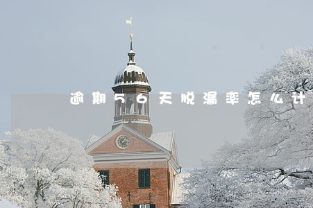 逾期56天脱漏率怎么计算 逾期56天脱漏率怎么计算
