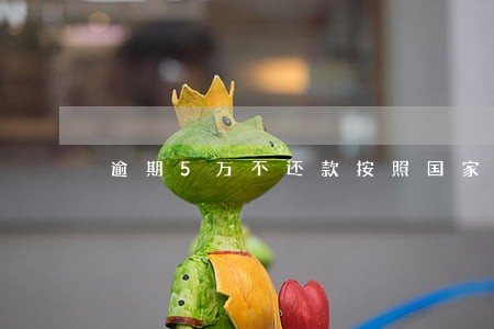 逾期5万不还款按照国家法律 逾期5万不还款按照国家法律
