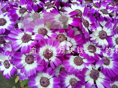 逾期5万块钱一年的利息是多少 逾期5万块钱一年的利息是多少