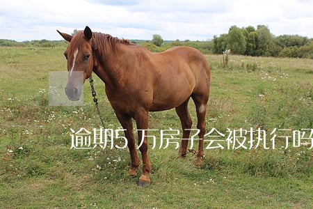 逾期5万房子会被执行吗 逾期5万房子会被执行吗