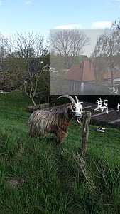 逾期5万本金两年多如何协商 逾期5万本金两年多如何协商