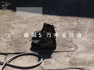逾期5万本金包含 逾期5万本金包含
