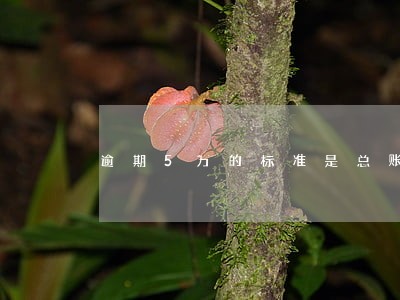 逾期5万的标准是总账单还是单笔 逾期5万的标准是总账单还是单笔