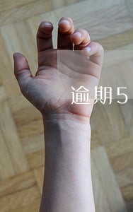 逾期5个小时 逾期5个小时