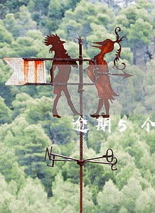 逾期5个工作日 逾期5个工作日