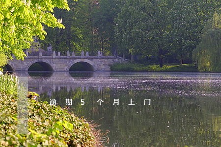逾期5个月上门 逾期5个月上门