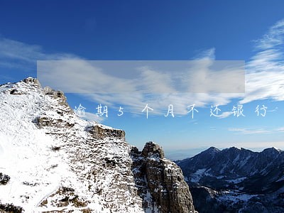 逾期5个月不还银行 逾期5个月不还银行