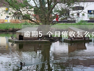 逾期5个月催收怎么办 逾期5个月催收怎么办